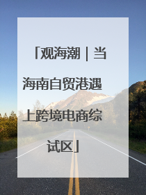 观海潮｜当海南自贸港遇上跨境电商综试区