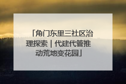 角门东里三社区治理探索｜代建代管推动荒地变花园