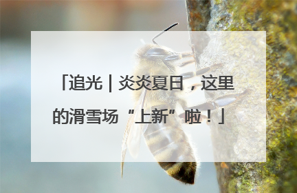 追光｜炎炎夏日，这里的滑雪场“上新”啦！