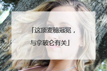 这顶麦穗冠冕，与拿破仑有关