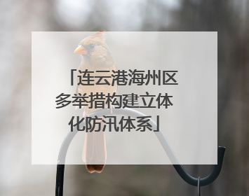连云港海州区多举措构建立体化防汛体系