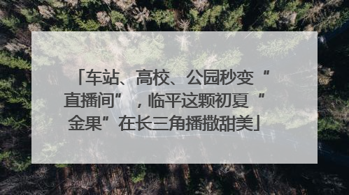 车站、高校、公园秒变“直播间”，临平这颗初夏“金果”在长三角播撒甜美