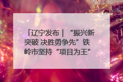 辽宁发布｜“振兴新突破 决胜勇争先”铁岭市坚持“项目为王”推进经济高质量发展