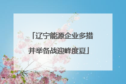 辽宁能源企业多措并举备战迎峰度夏