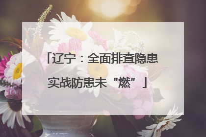 辽宁：全面排查隐患 实战防患未“燃”