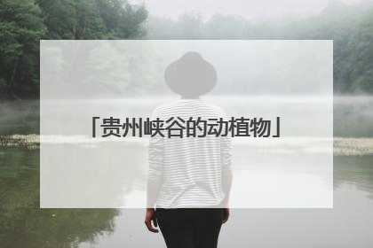 贵州峡谷的动植物