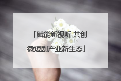 赋能新视听 共创微短剧产业新生态