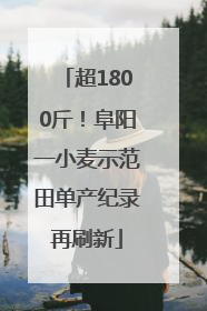 超1800斤！阜阳一小麦示范田单产纪录再刷新