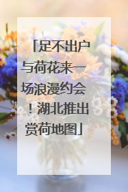 足不出户与荷花来一场浪漫约会！湖北推出赏荷地图