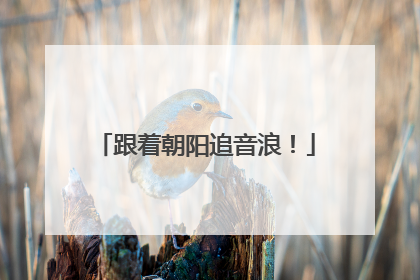 跟着朝阳追音浪！