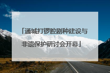 通城打锣腔剧种建设与非遗保护研讨会开幕