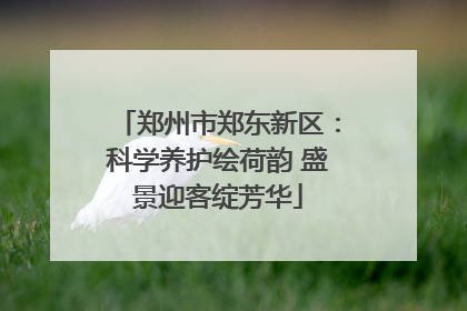 郑州市郑东新区：科学养护绘荷韵 盛景迎客绽芳华
