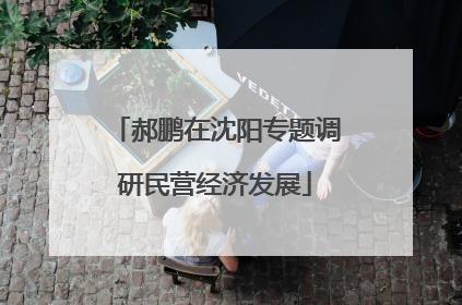 郝鹏在沈阳专题调研民营经济发展