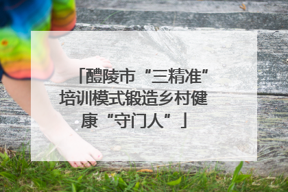 醴陵市“三精准”培训模式锻造乡村健康“守门人”