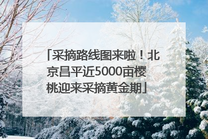 采摘路线图来啦！北京昌平近5000亩樱桃迎来采摘黄金期