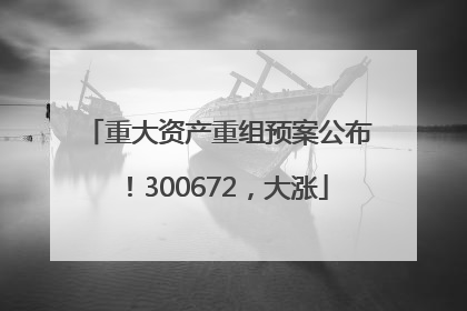 重大资产重组预案公布！300672，大涨