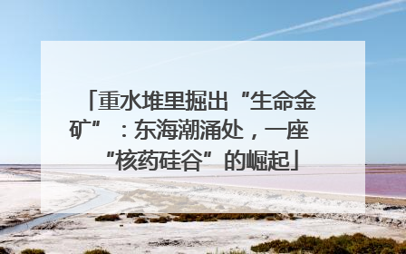重水堆里掘出“生命金矿”：东海潮涌处，一座“核药硅谷”的崛起