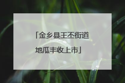 金乡县王丕街道地瓜丰收上市