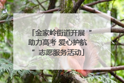 金家岭街道开展“助力高考 爱心护航”志愿服务活动