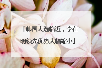 韩国大选临近，李在明领先优势大幅缩小