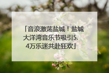 音浪激荡盐城！盐城大洋湾音乐节吸引5.4万乐迷共赴狂欢