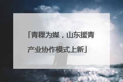 青稞为媒，山东援青产业协作模式上新