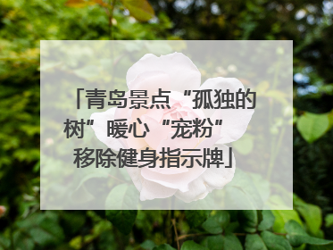 青岛景点“孤独的树”暖心“宠粉” 移除健身指示牌