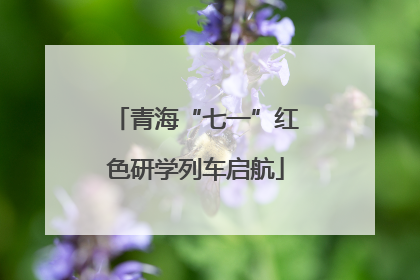 青海“七一”红色研学列车启航