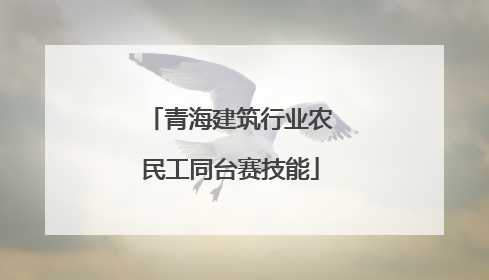 青海建筑行业农民工同台赛技能