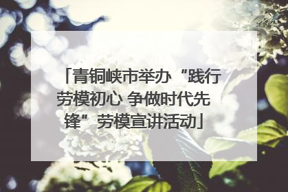 青铜峡市举办“践行劳模初心 争做时代先锋”劳模宣讲活动