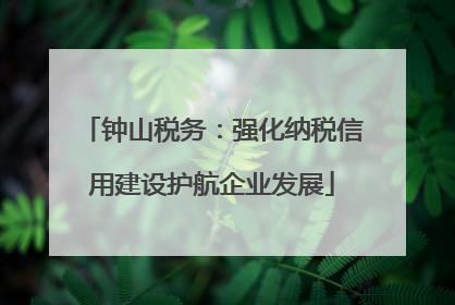 钟山税务：强化纳税信用建设护航企业发展