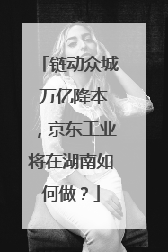 链动众城 万亿降本，京东工业将在湖南如何做？