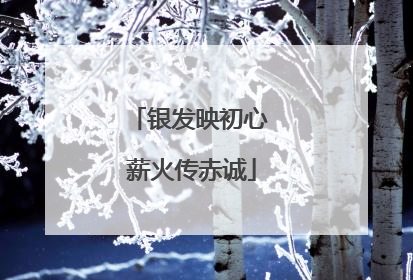 银发映初心 薪火传赤诚