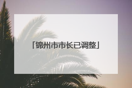 锦州市市长已调整