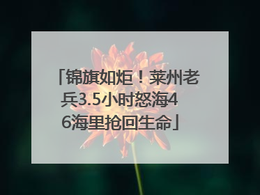 锦旗如炬！莱州老兵3.5小时怒海46海里抢回生命