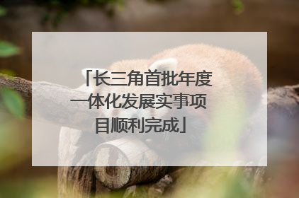 长三角首批年度一体化发展实事项目顺利完成