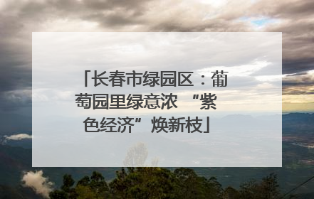 长春市绿园区：葡萄园里绿意浓 “紫色经济”焕新枝