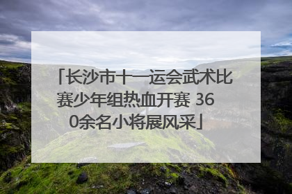 长沙市十一运会武术比赛少年组热血开赛 360余名小将展风采