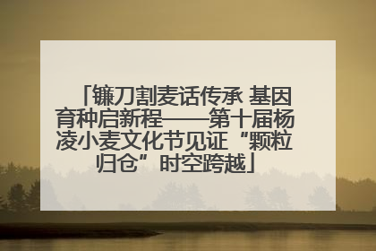 镰刀割麦话传承 基因育种启新程——第十届杨凌小麦文化节见证“颗粒归仓”时空跨越