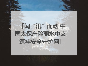 闻“汛”而动 中国太保产险丽水中支筑牢安全守护网