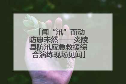 闻“汛”而动 防患未然——炎陵县防汛应急救援综合演练现场见闻