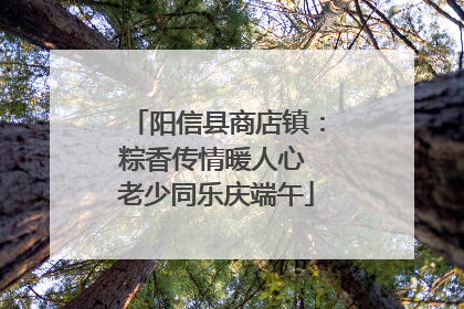 阳信县商店镇：粽香传情暖人心 老少同乐庆端午