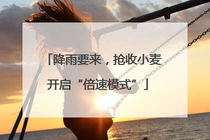 降雨要来，抢收小麦开启“倍速模式”