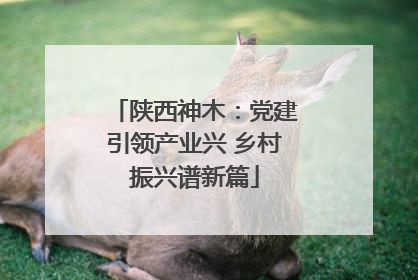 陕西神木：党建引领产业兴 乡村振兴谱新篇