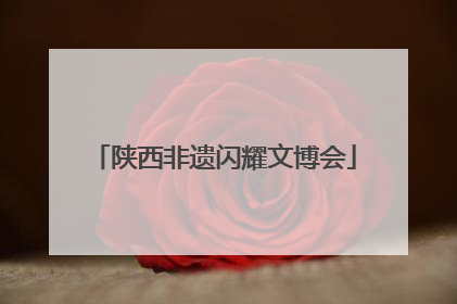 陕西非遗闪耀文博会