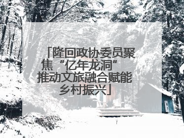 隆回政协委员聚焦“亿年龙洞” 推动文旅融合赋能乡村振兴