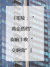 零陵：“黄金搭档”奏响丰收“交响曲”