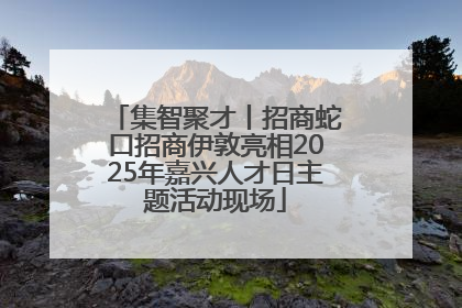 集智聚才丨招商蛇口招商伊敦亮相2025年嘉兴人才日主题活动现场