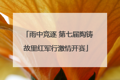 雨中竞逐 第七届陶铸故里红军行激情开赛