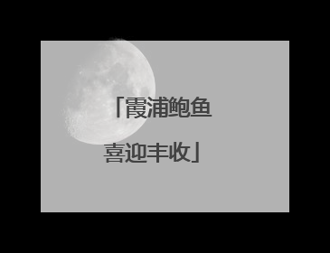 霞浦鲍鱼喜迎丰收